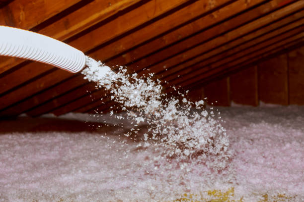 Best Spray Foam Insulation in Wolf Point, MT