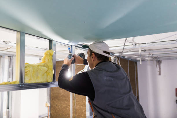 Best Cellulose Insulation in Wolf Point, MT