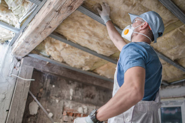 Best Residential Insulation in Wolf Point, MT