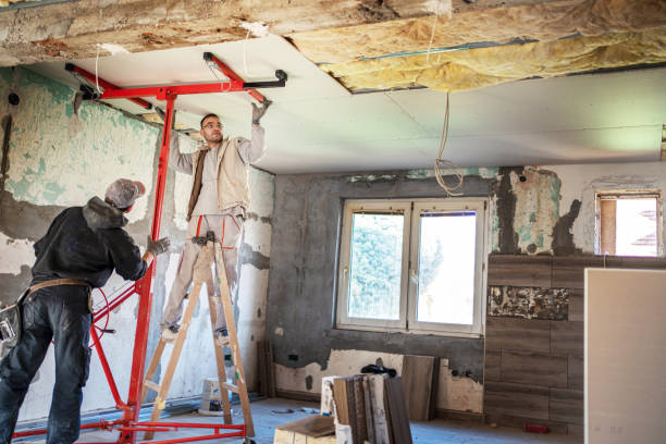 Best Eco-Friendly Insulation in Wolf Point, MT