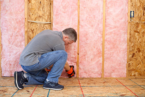 Best Insulation Maintenance and Repair in Wolf Point, MT